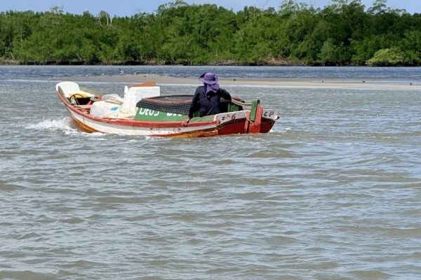 IMG_0669