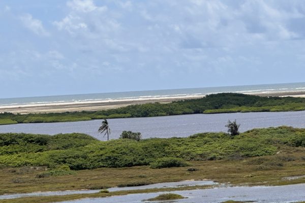 IMG_6071