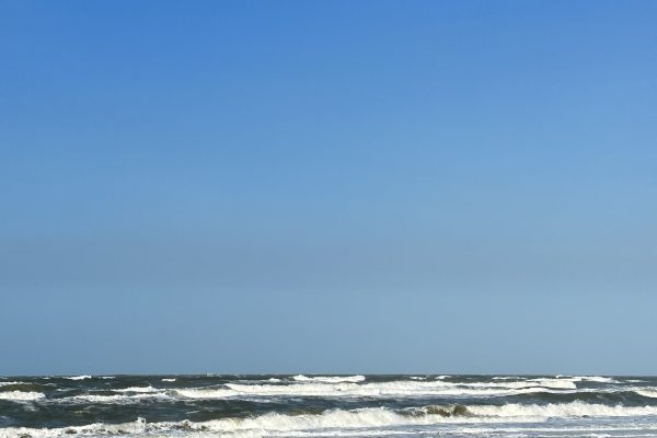 IMG_9517
