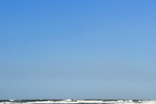 IMG_9524